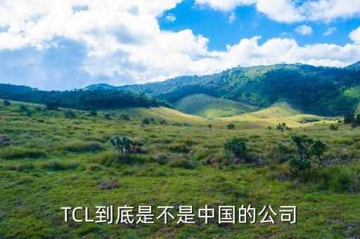 tcl集團(tuán)股份有限公司綜合評(píng)價(jià),Tcl科技集團(tuán)股份有限公司