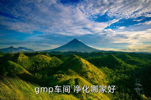 gmp車間 凈化哪家好