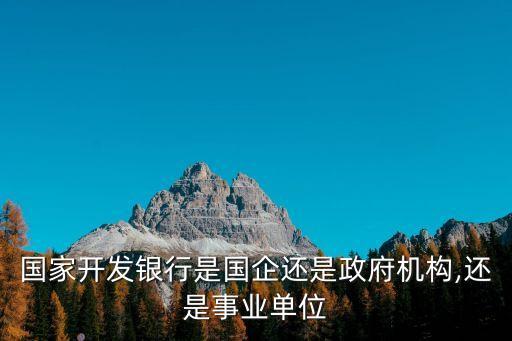 國家開發(fā)銀行是國企還是政府機構(gòu),還是事業(yè)單位