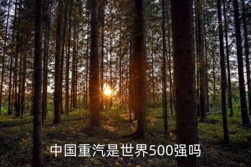 中國(guó)重汽是世界500強(qiáng)嗎