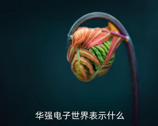  華強(qiáng)電子世界表示什么