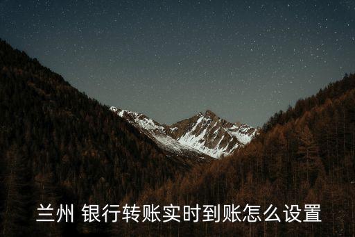  蘭州 銀行轉(zhuǎn)賬實時到賬怎么設(shè)置