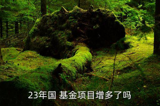 23年國 基金項目增多了嗎