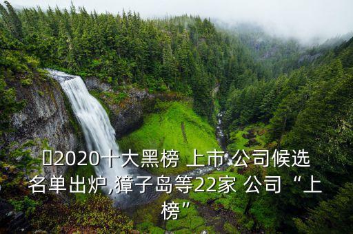 ?2020十大黑榜 上市 公司候選名單出爐,獐子島等22家 公司“上榜”