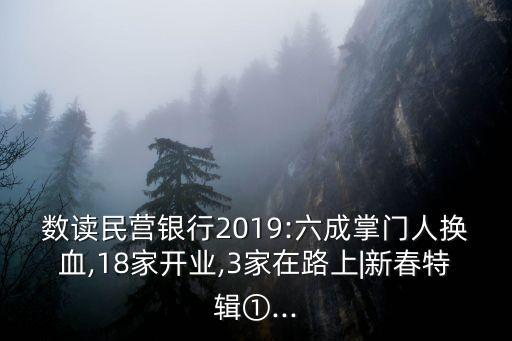 數(shù)讀民營銀行2019:六成掌門人換血,18家開業(yè),3家在路上|新春特輯①...