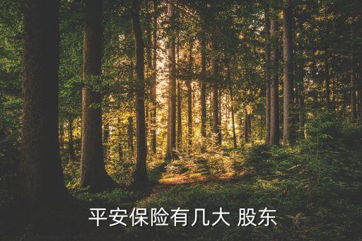  平安保險(xiǎn)有幾大 股東