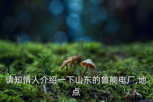 請知情人介紹一下山東的魯能電廠,地點(diǎn)