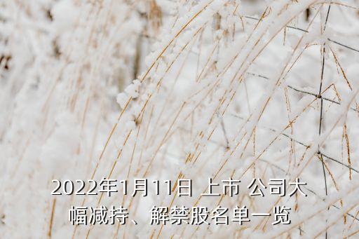 2022年1月11日 上市 公司大幅減持、解禁股名單一覽