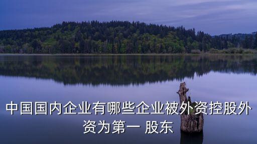 中國國內(nèi)企業(yè)有哪些企業(yè)被外資控股外資為第一 股東