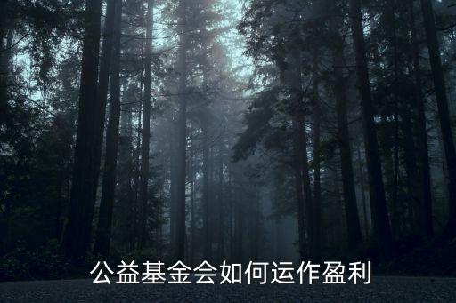  公益基金會如何運(yùn)作盈利