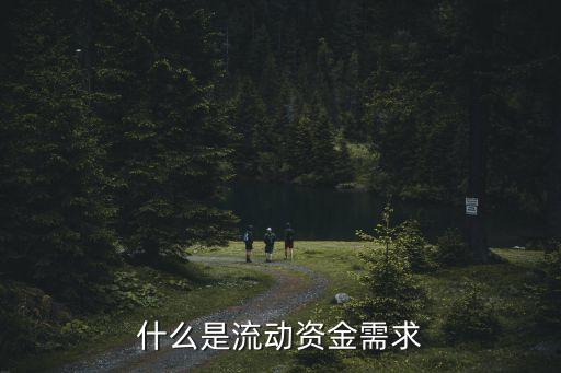 指在公司經(jīng)營周期內(nèi)并未被更新的資產(chǎn)