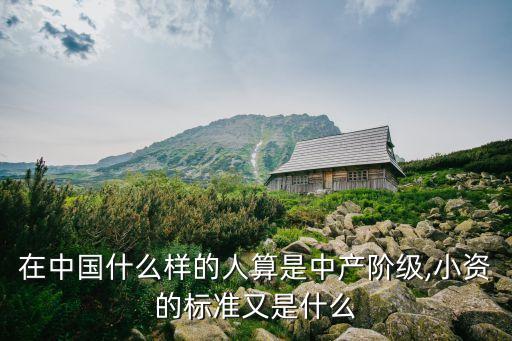 在中國什么樣的人算是中產(chǎn)階級,小資的標(biāo)準(zhǔn)又是什么