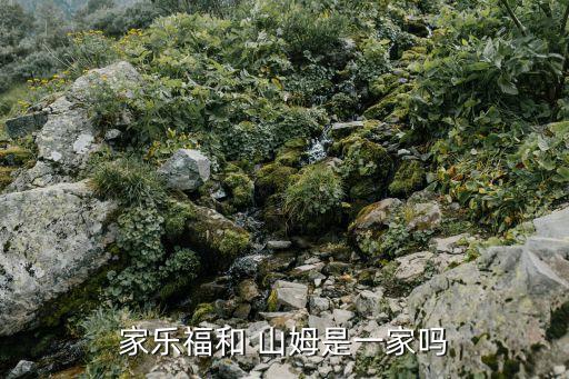 山姆和沃爾瑪哪個(gè)是子公司,沃爾瑪和山姆會(huì)員店哪個(gè)便宜