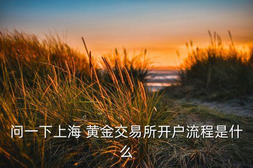 問(wèn)一下上海 黃金交易所開(kāi)戶(hù)流程是什么