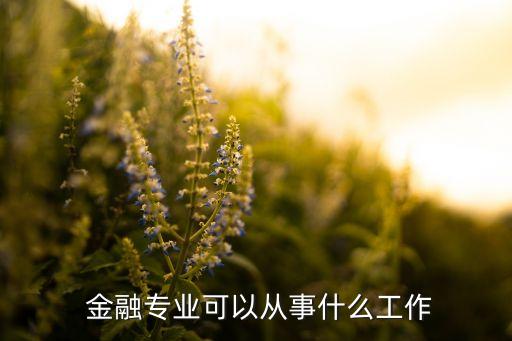 三星投資金融擔(dān)當(dāng)招聘