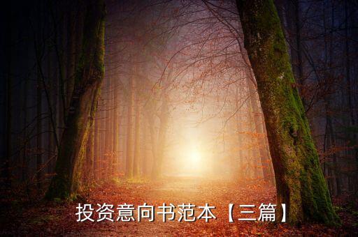  投資意向書范本【三篇】