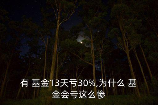 有 基金13天虧30%,為什么 基金會虧這么慘