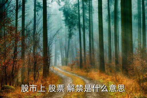 什么叫股票解禁,股票解禁會(huì)漲還是會(huì)跌