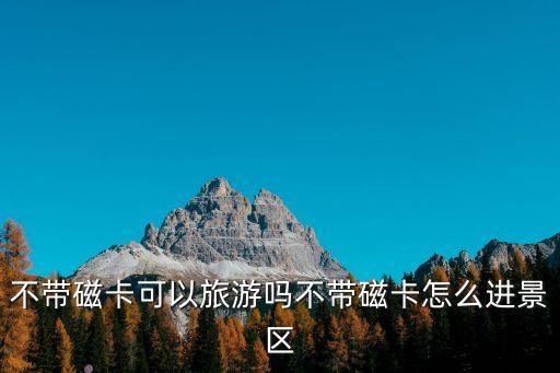 不帶磁卡可以旅游嗎不帶磁卡怎么進(jìn)景區(qū)