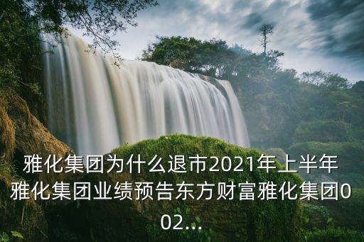 雅化集團(tuán)為什么退市2021年上半年雅化集團(tuán)業(yè)績預(yù)告東方財(cái)富雅化集團(tuán)002...