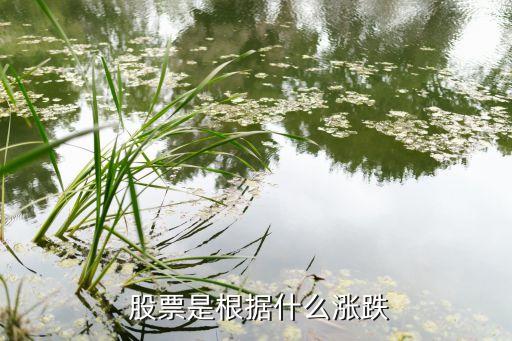  股票是根據(jù)什么漲跌