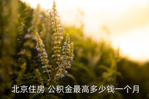  北京住房 公積金最高多少錢一個月