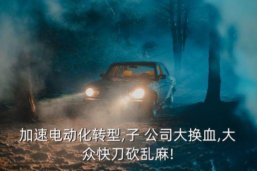 加速電動(dòng)化轉(zhuǎn)型,子 公司大換血,大眾快刀砍亂麻!