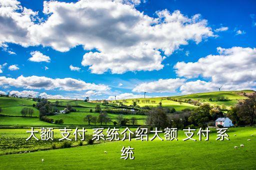 大額 支付 系統(tǒng)介紹大額 支付 系統(tǒng)