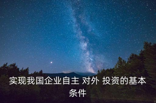 實現(xiàn)我國企業(yè)自主 對外 投資的基本條件