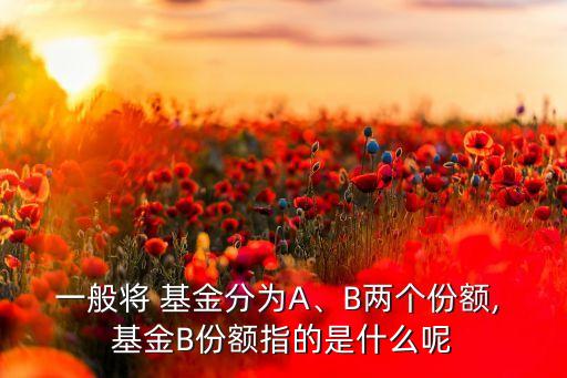 一般將 基金分為A、B兩個(gè)份額, 基金B(yǎng)份額指的是什么呢