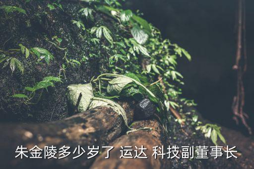 朱金陵多少歲了 運(yùn)達(dá) 科技副董事長(zhǎng)