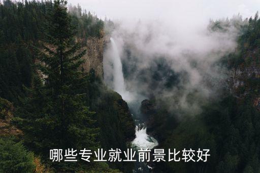 哪些專業(yè)就業(yè)前景比較好