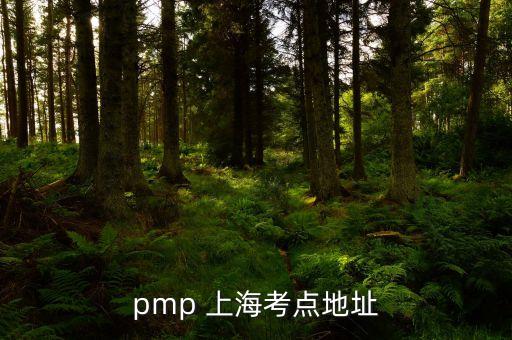 pmp 上?？键c(diǎn)地址