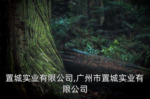 江西置城實(shí)業(yè)有限公司,廣州市置城實(shí)業(yè)有限公司