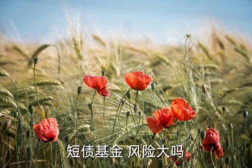 中短期投資風(fēng)險(xiǎn),短期投資風(fēng)險(xiǎn)和回報(bào)不一定成正相關(guān)