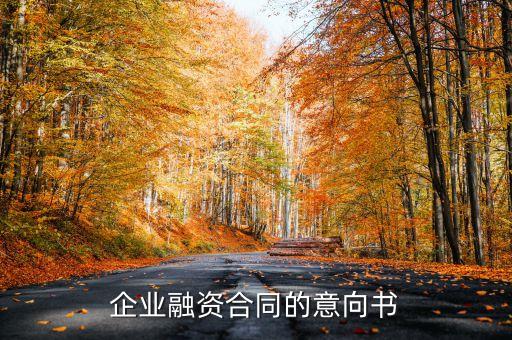 企業(yè)融資合同的意向書(shū)