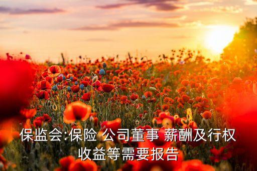 保監(jiān)會(huì):保險(xiǎn) 公司董事 薪酬及行權(quán)收益等需要報(bào)告