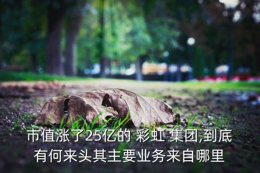 市值漲了25億的 彩虹 集團,到底有何來頭其主要業(yè)務來自哪里