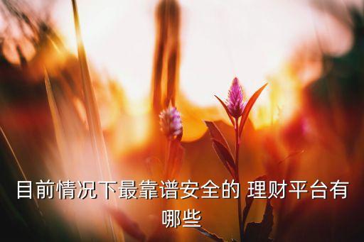 目前情況下最靠譜安全的 理財平臺有哪些