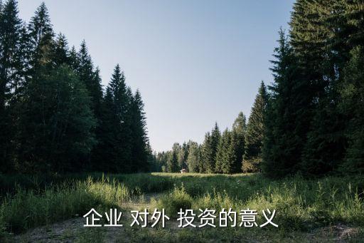 對(duì)外投資是什么,對(duì)外直接投資的主要方式