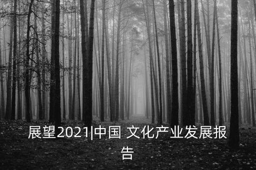 展望2021|中國 文化產(chǎn)業(yè)發(fā)展報告