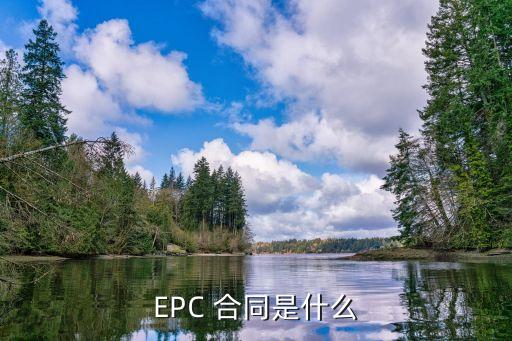 EPC 合同是什么