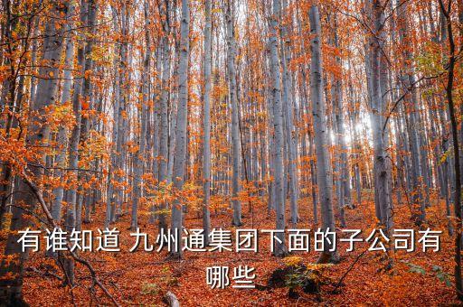 九州通襄陽(yáng)有限公司