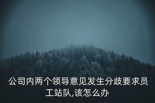  公司內(nèi)兩個(gè)領(lǐng)導(dǎo)意見發(fā)生分歧要求員工站隊(duì),該怎么辦