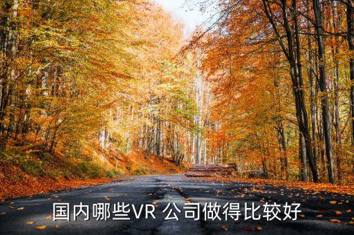 國(guó)內(nèi)哪些VR 公司做得比較好