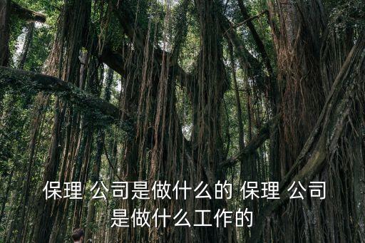 保理公司銀行融資崗位,保理融資手續(xù)費(fèi)可以叫銀行開發(fā)票嗎