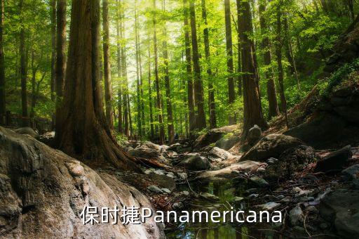  保時(shí)捷Panamericana