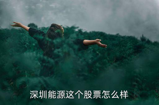 深圳能源這個股票怎么樣