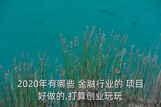 2020年有哪些 金融行業(yè)的 項目好做的,打算創(chuàng)業(yè)玩玩