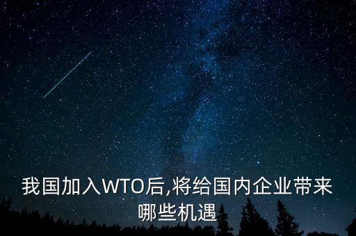 我國加入WTO后,將給國內(nèi)企業(yè)帶來哪些機遇